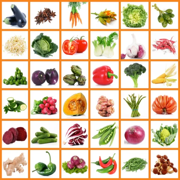 All Desi Vegetables Combo (130+ Verities of Desi Vegetable Seeds)