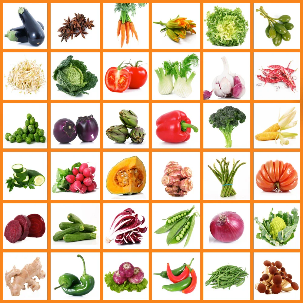 All_Desi_Vegetables_Combo_130_Verities_of_Desi_Vegetable_Seeds All Desi Vegetables Combo (130+ Verities of Desi Vegetable Seeds) - Image 1