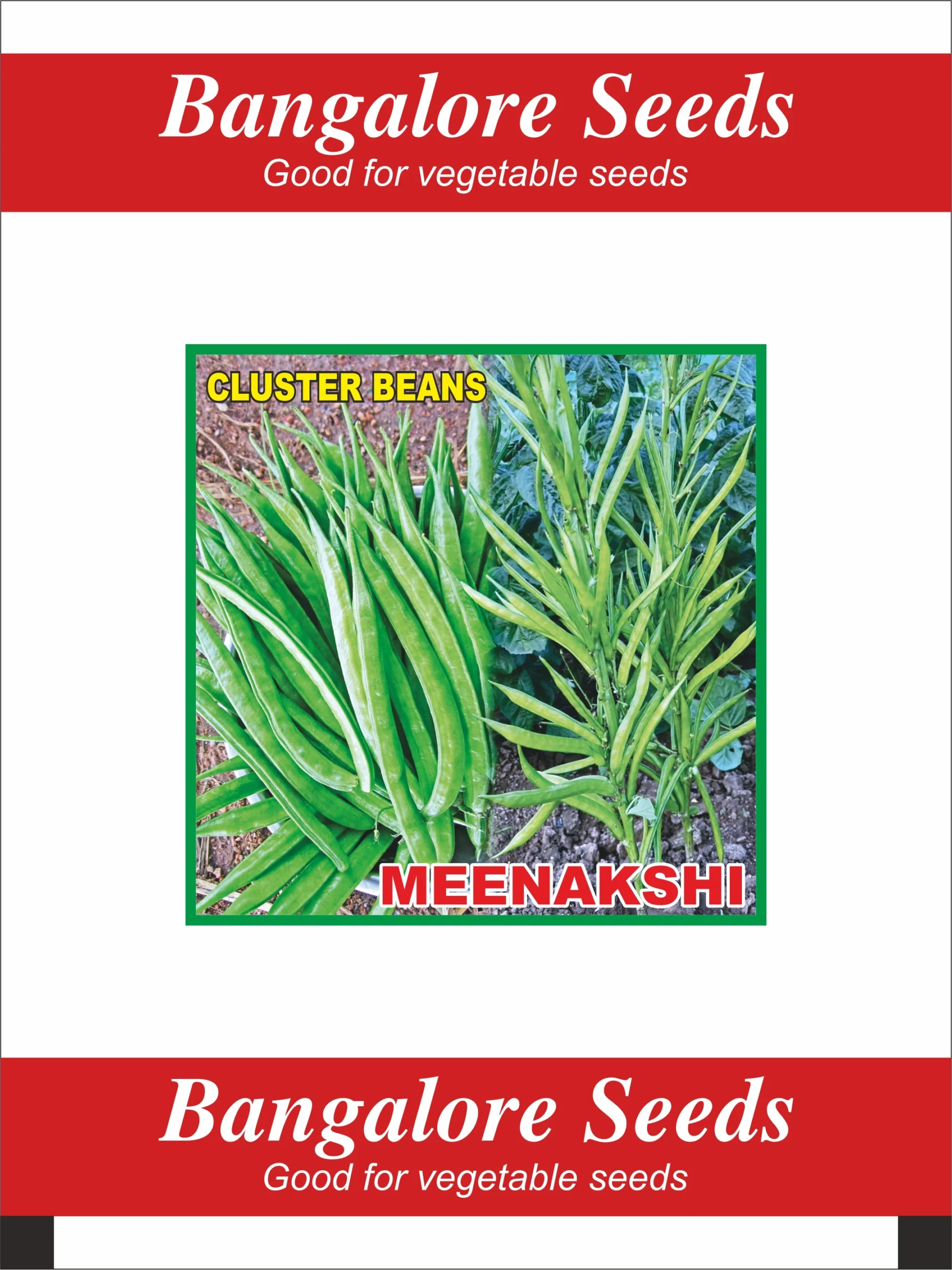 Cluster Beans- Meenakshi 500 gm Selection-Meenakshi Cluster Bean Seeds - Image 1