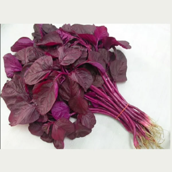 Premium Red Amaranthus Seeds