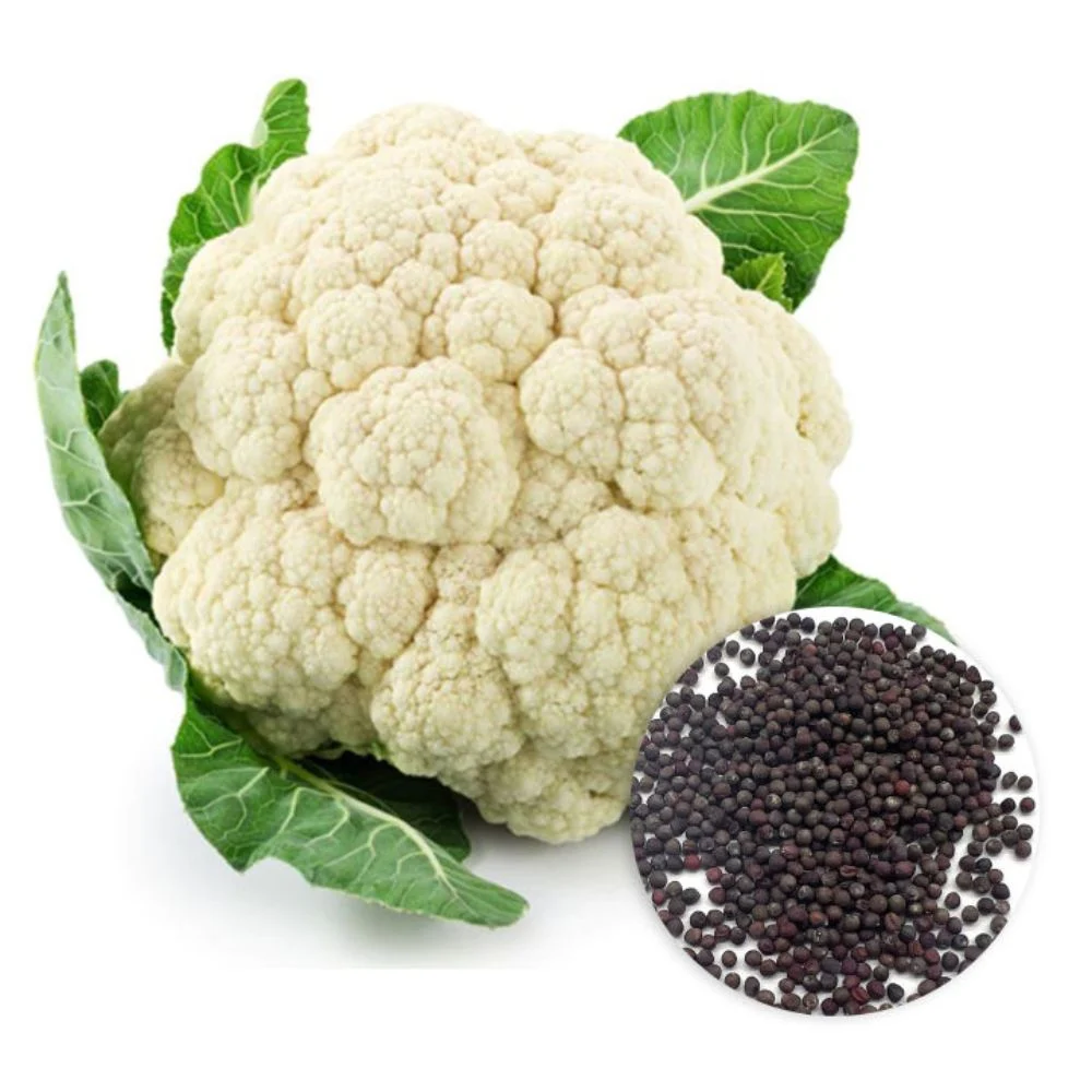 Untitled design (14) Premium Cauliflower Seeds - Image 1