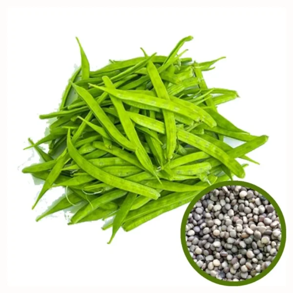 Selection-Meenakshi Cluster Bean Seeds