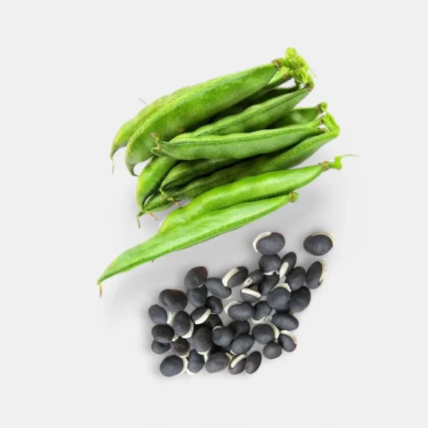 Premium Dolichos Bean Seeds