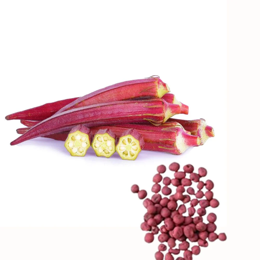 Untitled design (20) Premium Red Okra Seeds - Image 1
