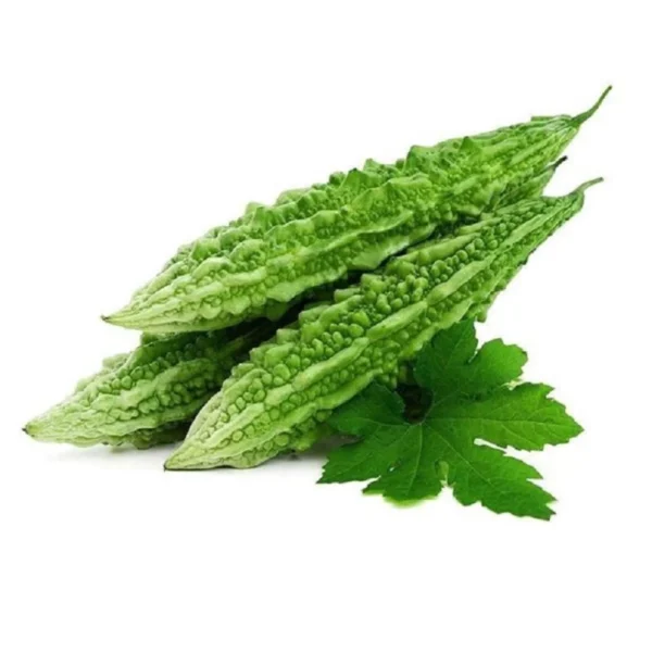 Hybrid Bitter Gourd Vishal-2