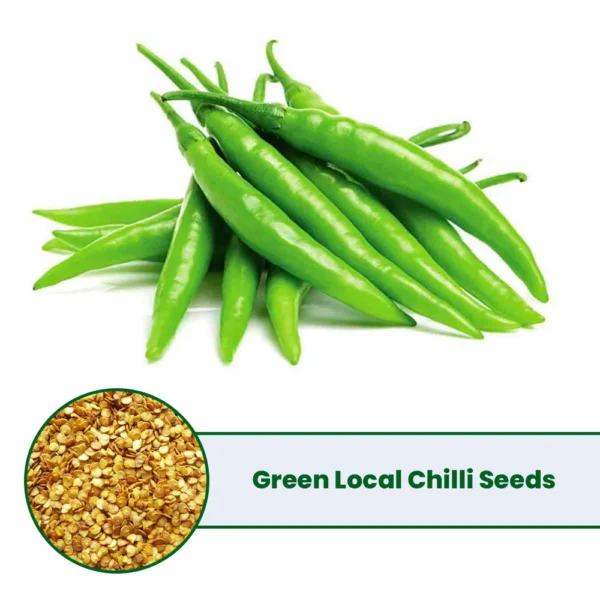 Achari Type Local Chilli Seeds - Pickling & Fresh Green Mirchi (Hybrid/Local)