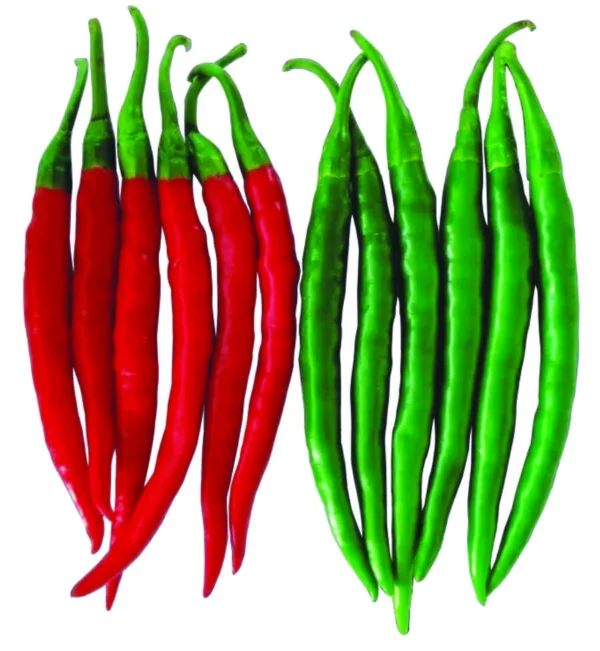 Ganesh Hybrid Chilli Seeds - Dual Purpose Green/Red (LCV Tolerant)