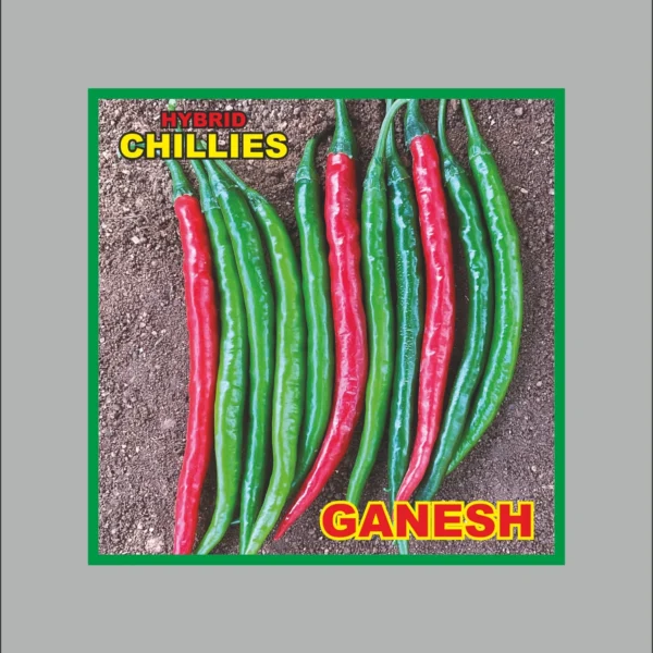 Hybrid Chilli - Ganesh