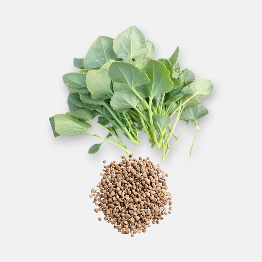 Chukka_Kura_Seeds Premium Cukka Kura Seeds - Image 1