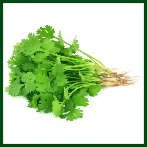 Deshi Dhania Seeds - Traditional Local Coriander