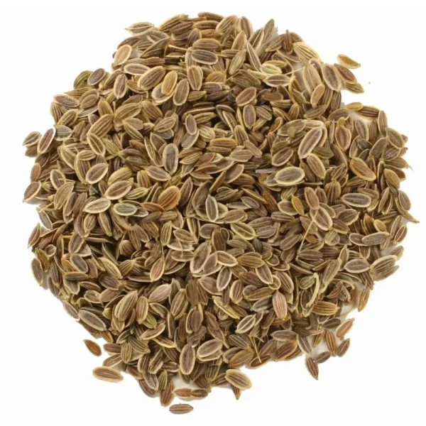 Premium Dill Seeds