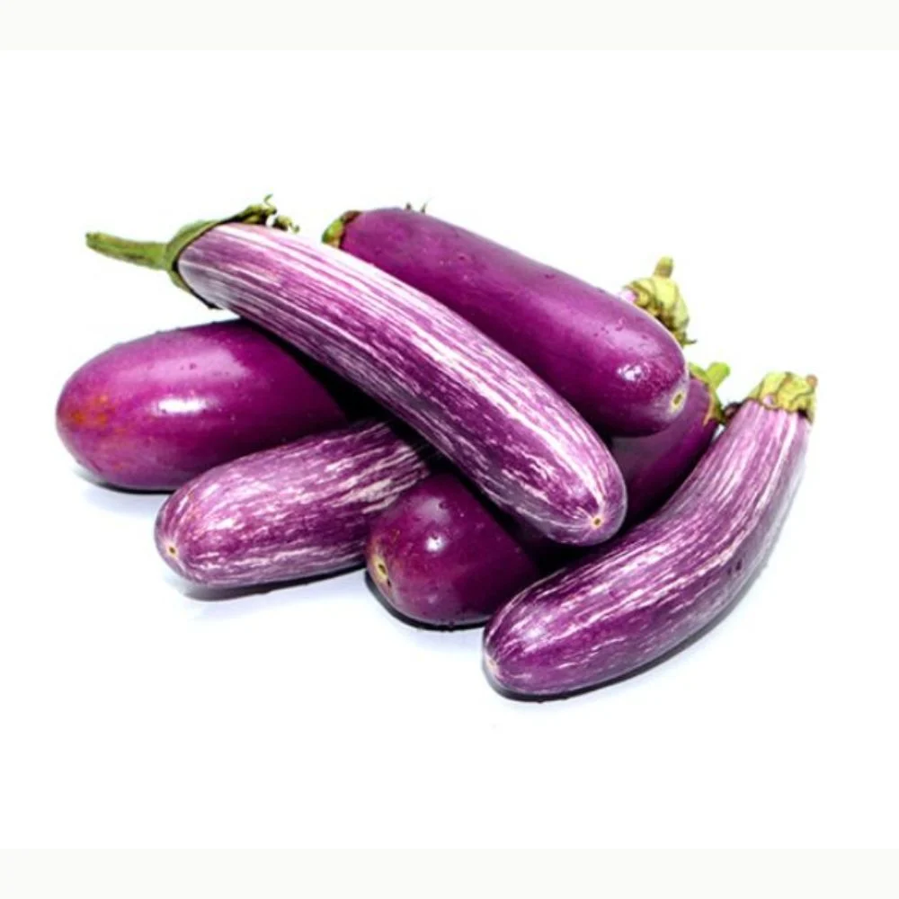 Brinjal Brinda-15