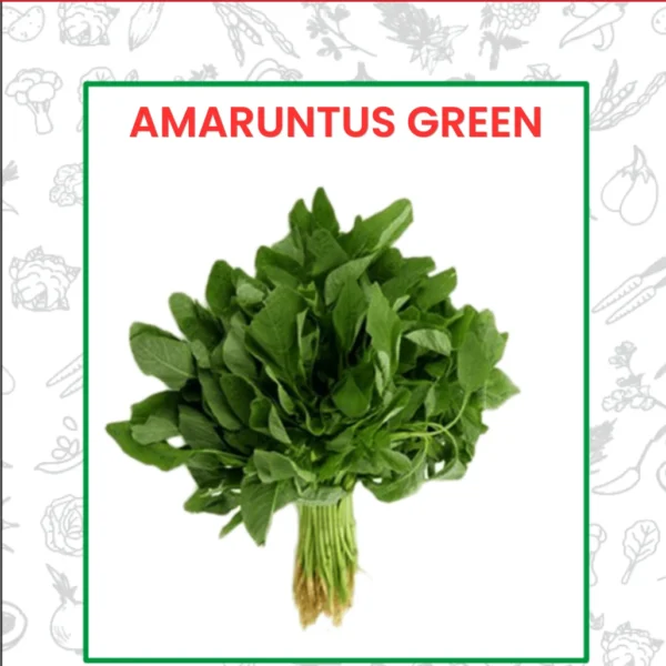 Amaruntus Green Seeds