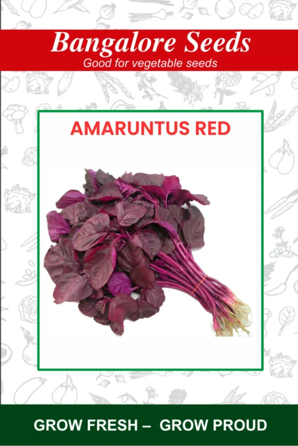 Amaranthus Red Seeds