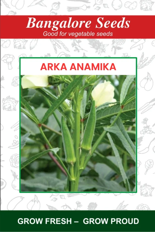 Bhendi-Arka Anamika