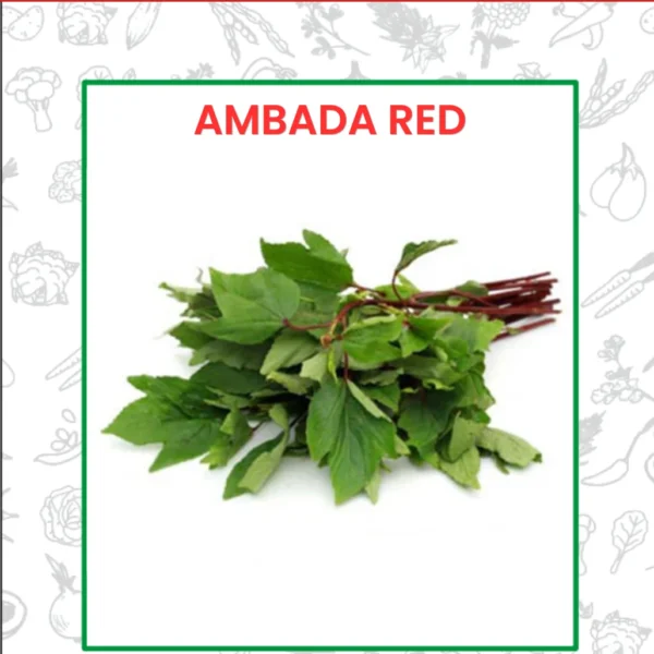 Ambada Red Seeds