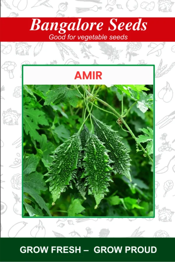 Hybrid Bitter Gourd Amir