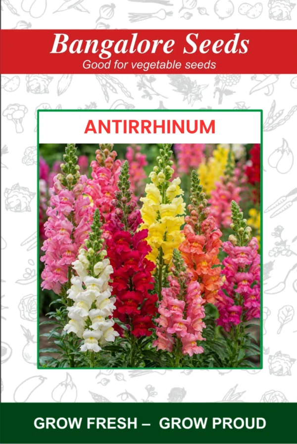 Antirrhinum Flower Seeds