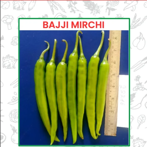 Hybrid Chilli Bajji Mirchi