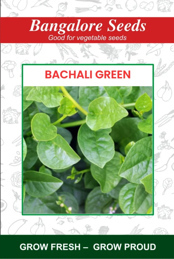 Bachali Green Seeds