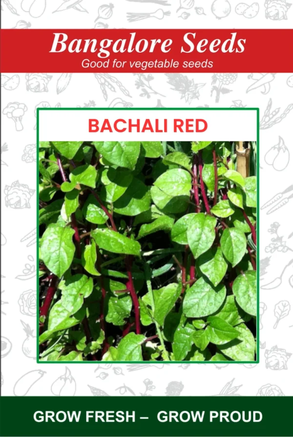 Bachali Red Seeds