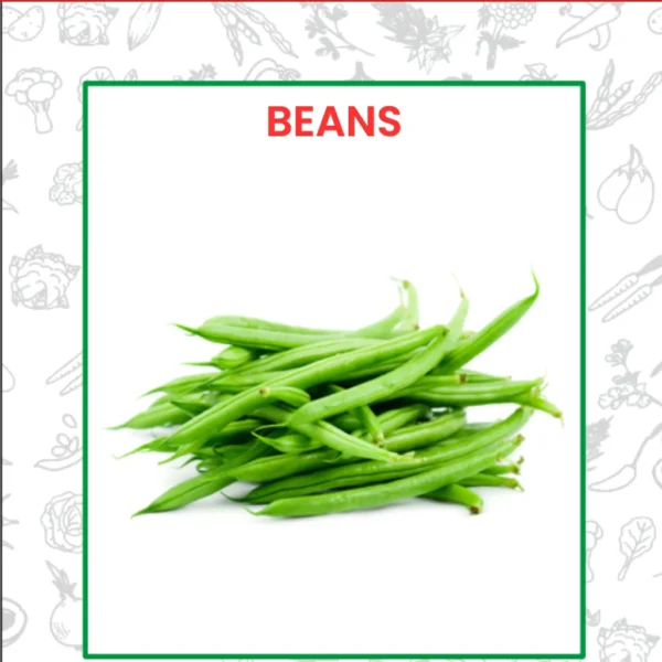 Beans Seeds