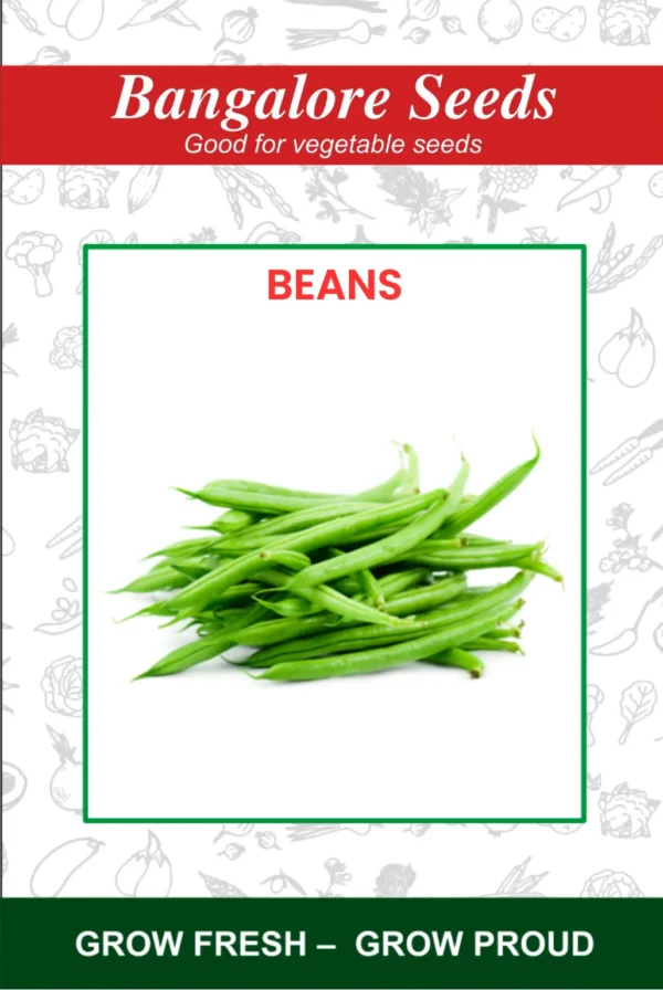 Beans Seeds