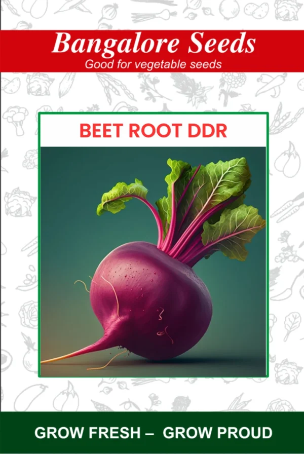 Beet Root DDR Seeds
