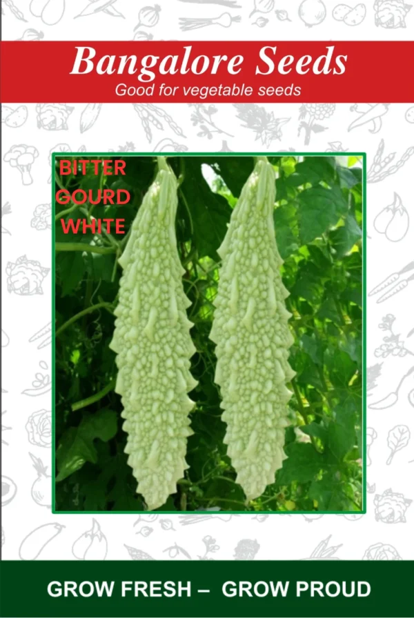 Hybrid Bitter Gourd White