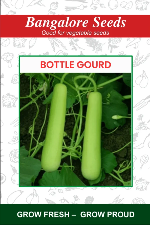 Bottle Gourd