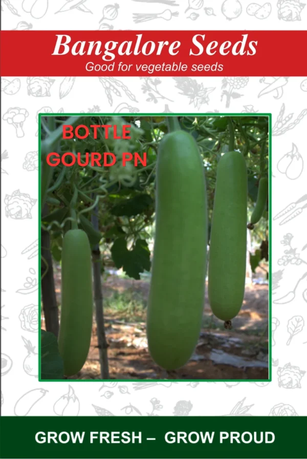 Bottle Gourd PN
