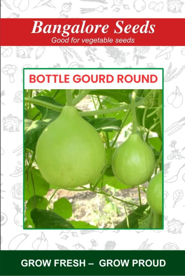 Bottle Gourd Round