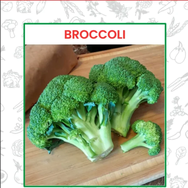 Hybrid Broccoli