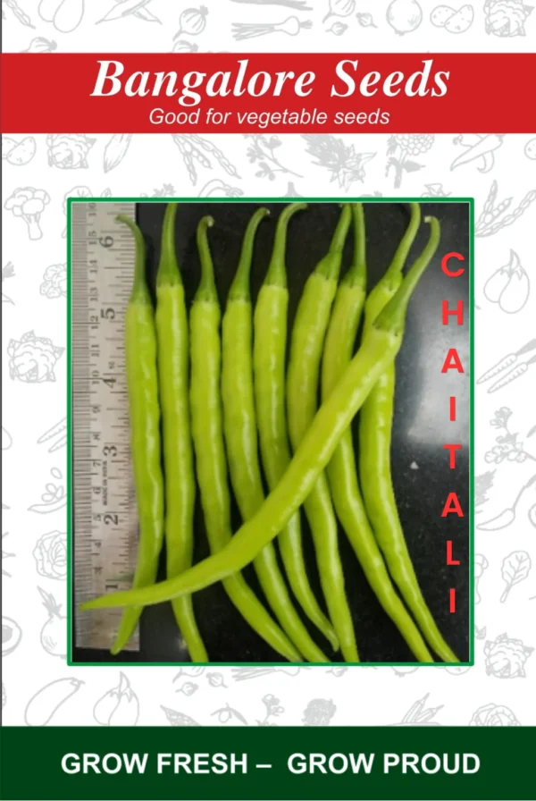Hybrid Chilli Chaitali