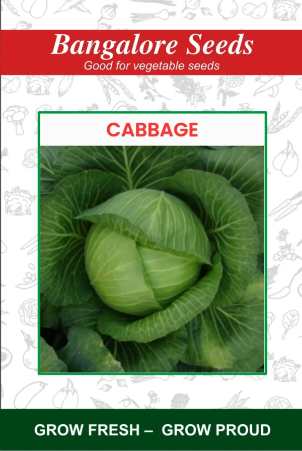 Cabbage Cadilac-1 Seeds