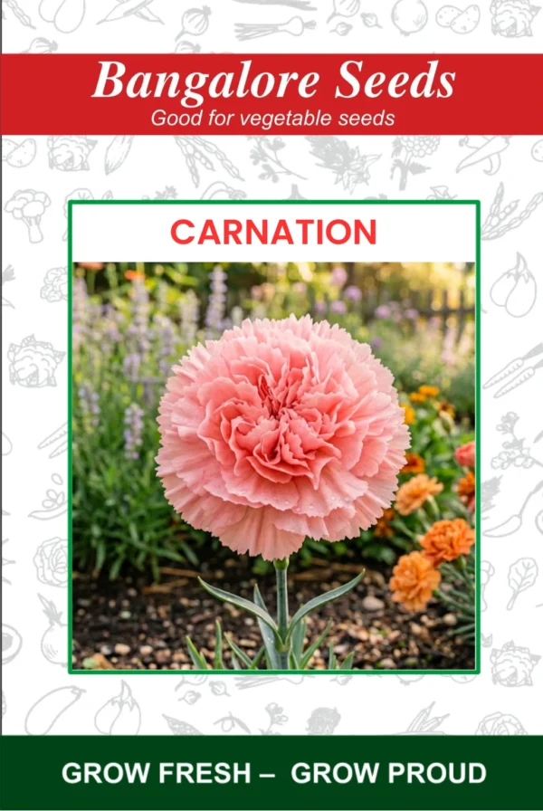 Carnation Flower Seeds