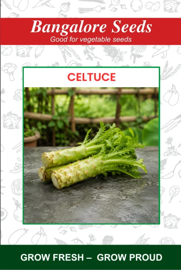 Celtuce Seeds
