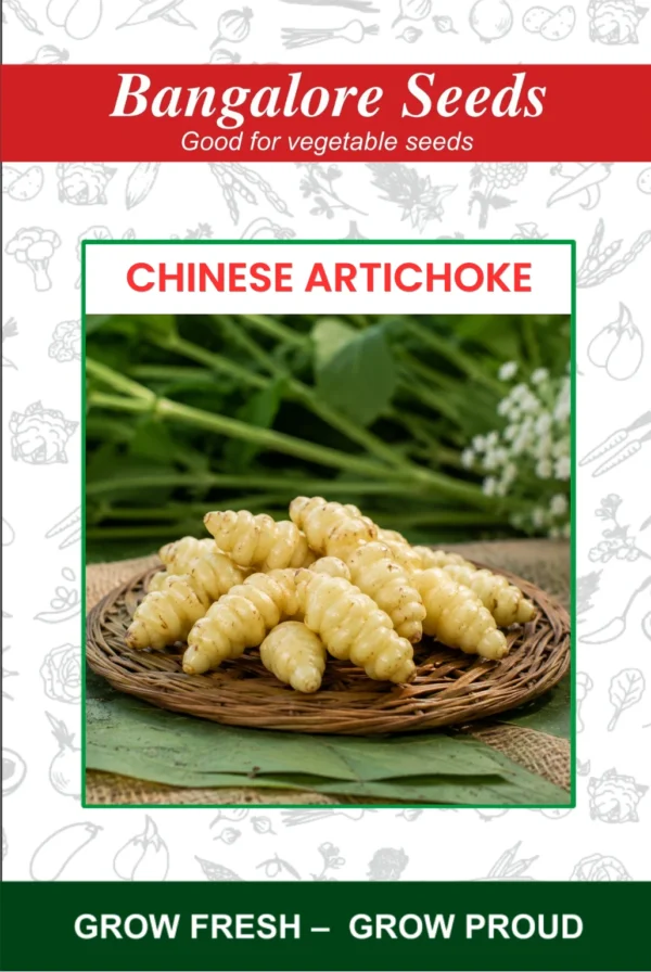 Chinese Artichoke Seeds