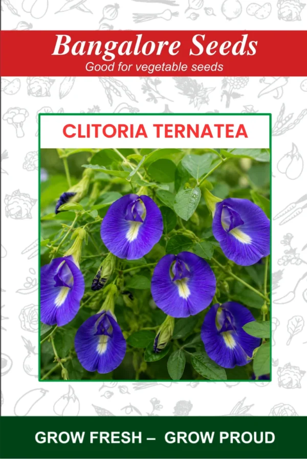 Clitoria Ternatea Flower Seeds