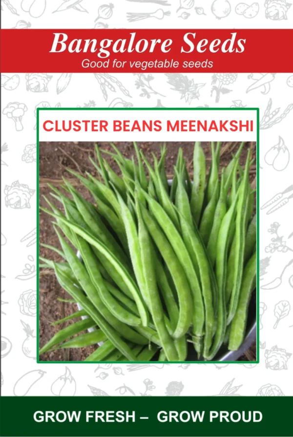 Cluster Beans Meenakshi