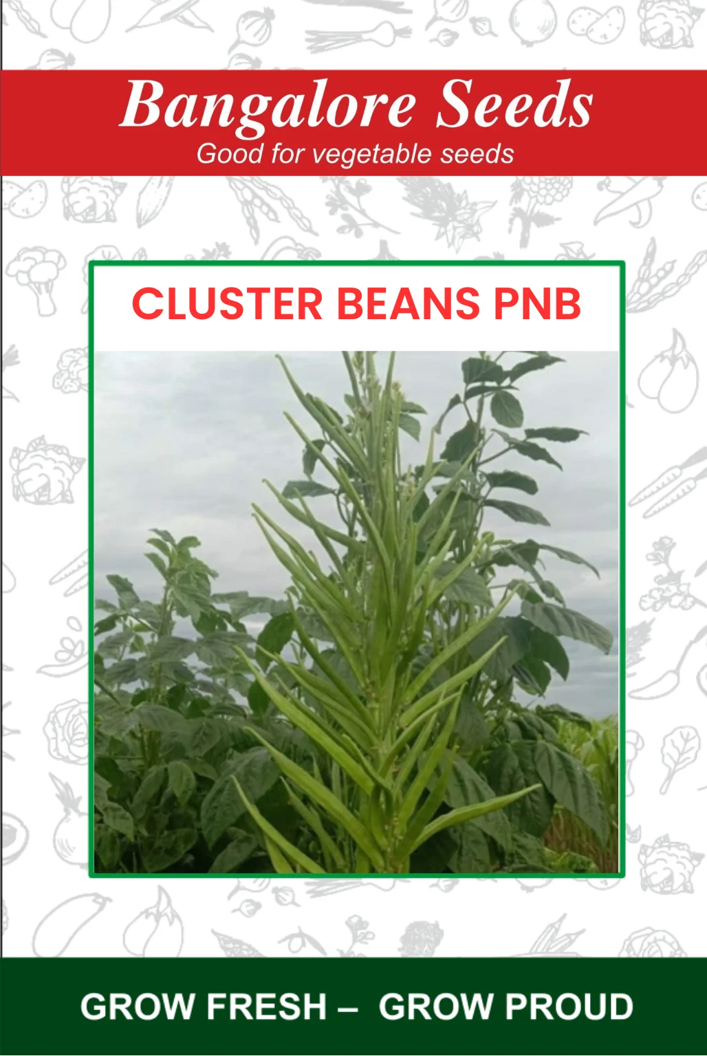 Cluster Beans PNB Cluster Beans PNB Seeds - Image 1