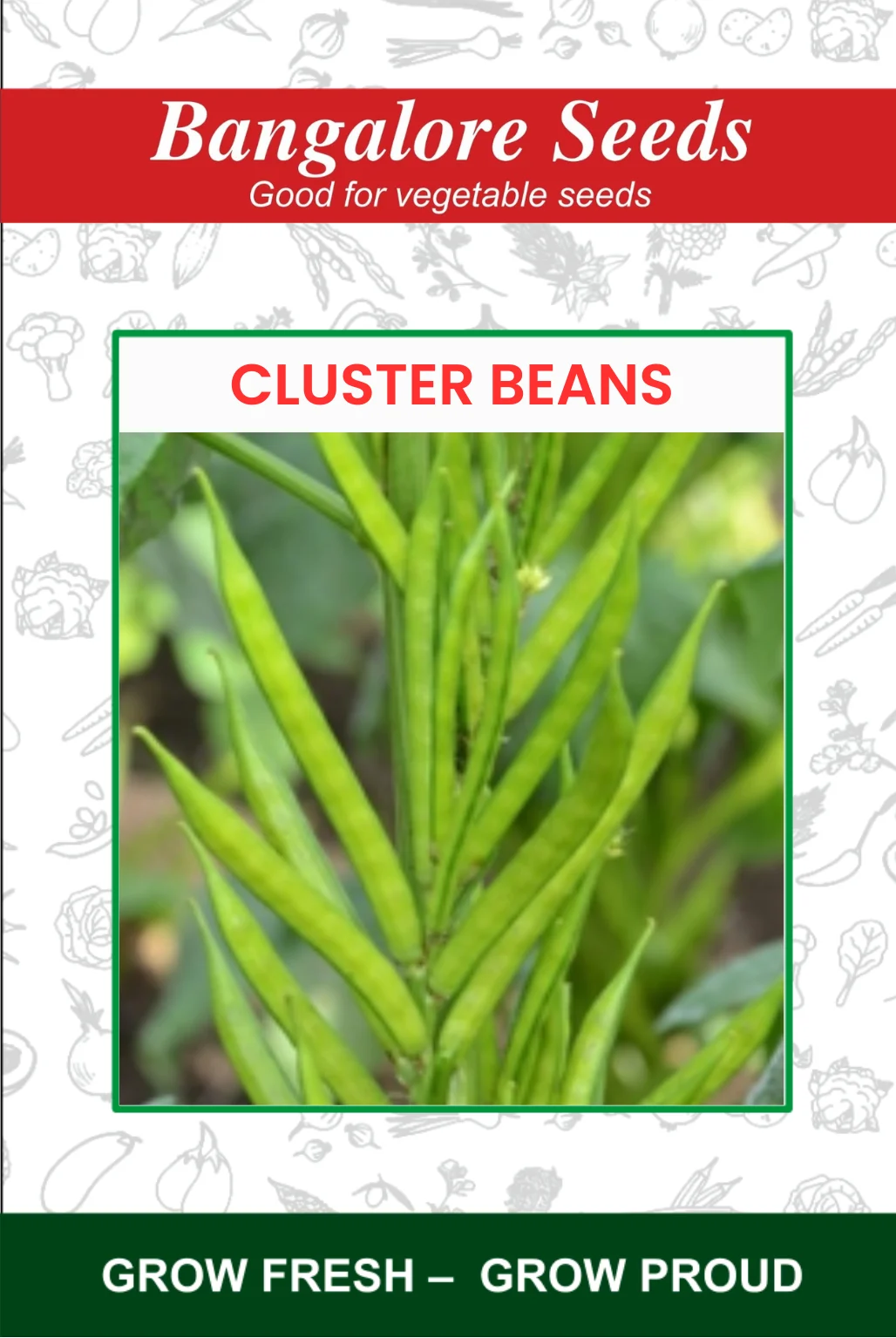 Cluster Beans Cluster Beans Seeds - Image 1