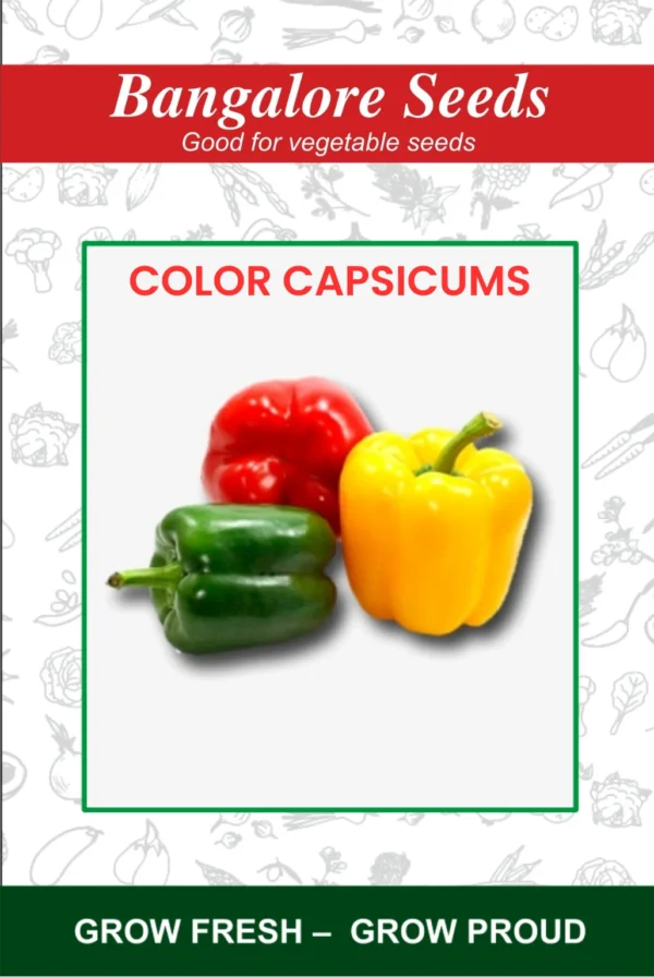 Hybrid Color Capsicums