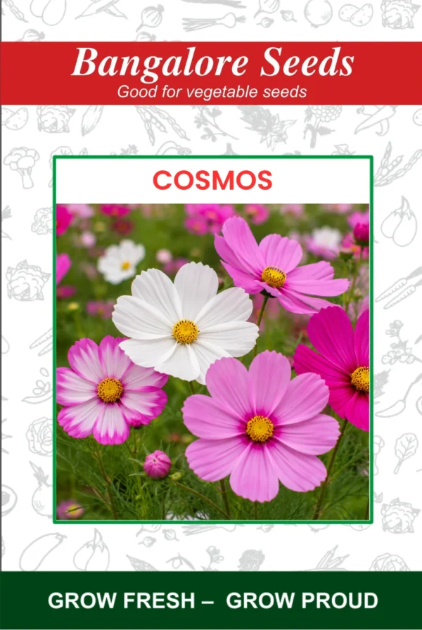 Cosmos Flower Seeds
