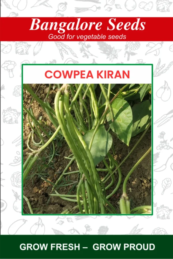 Cowpea Kiran