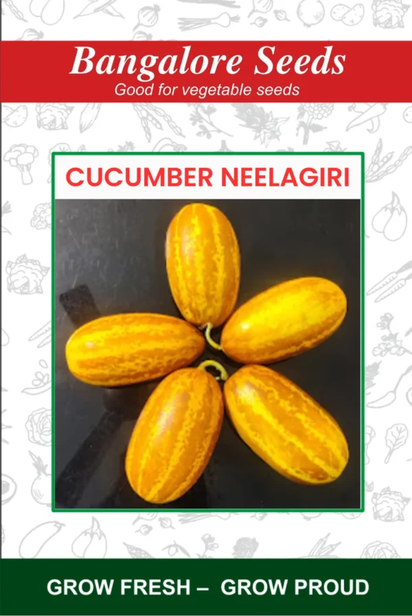 Cucumber Neelagiri Seeds