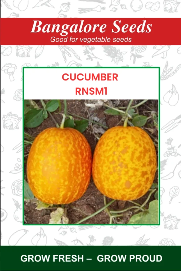 Cucumber RNSM1 Seeds