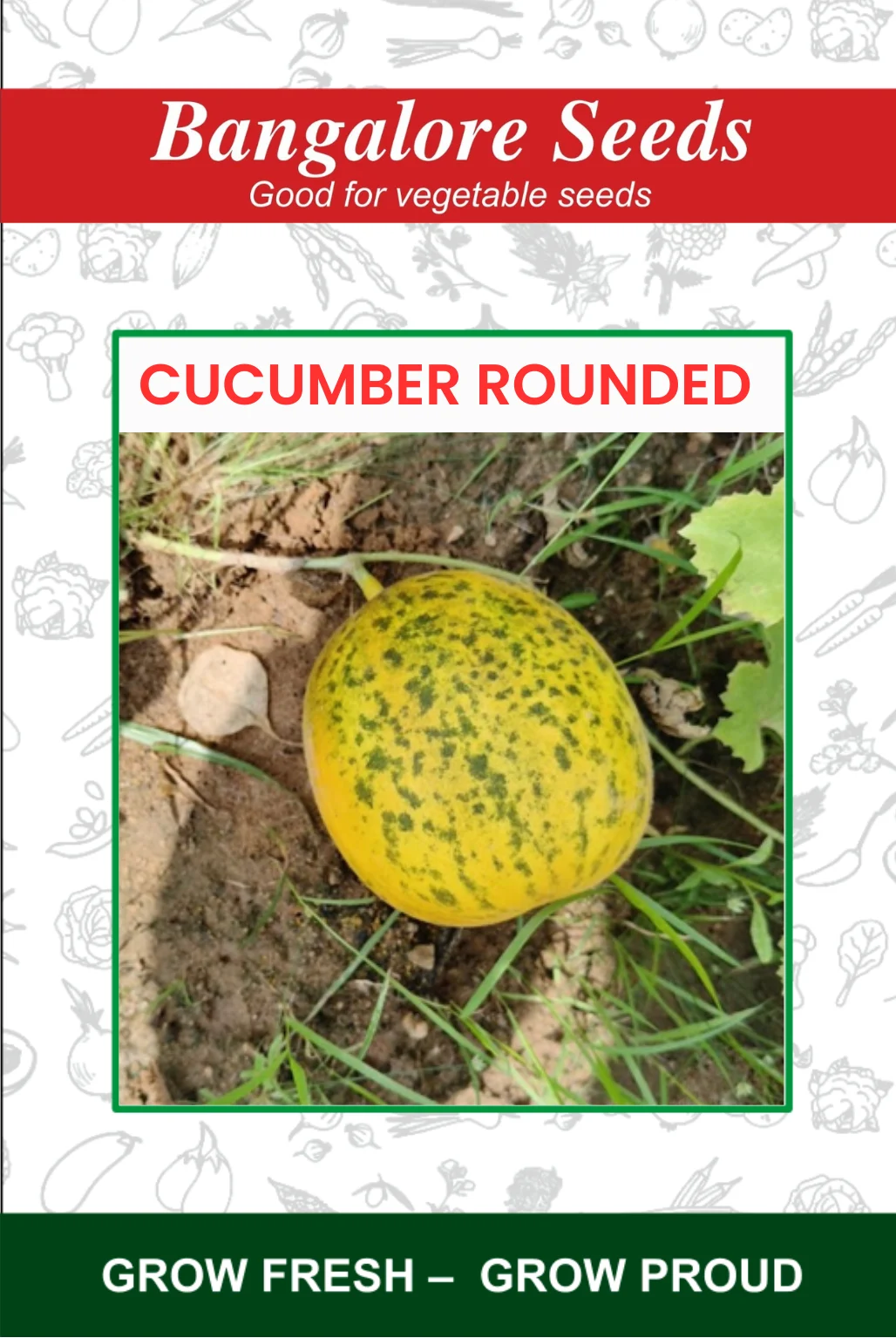 Cucumber Rounded Cucumber Rounded Seeds - Image 1