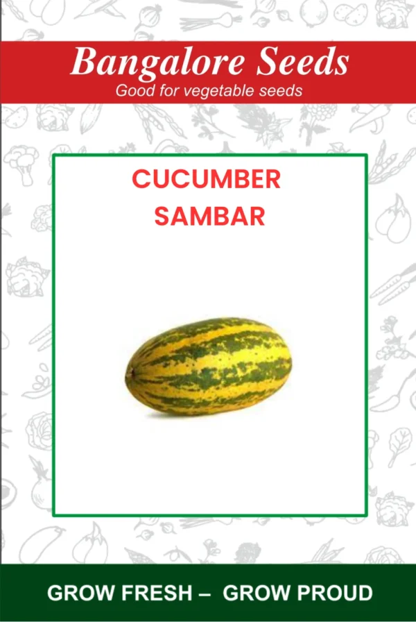 Hybrid Cucumber Sambar