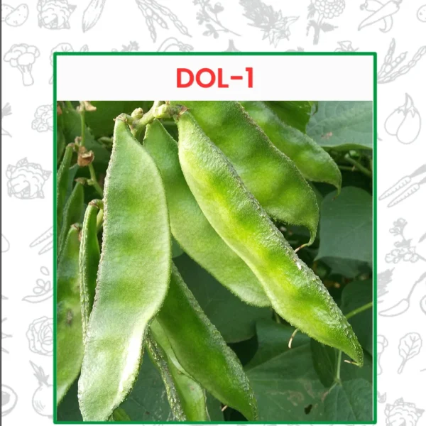 Dolichos DOL-1 Seeds